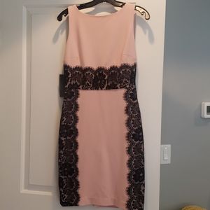 NWT Limited Pink and Black Lace Mini Dress Sz 0